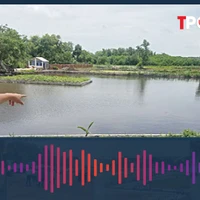 Các khoản phí chuyển đất ao lên thổ cư mới nhất 