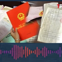 Chi tiết các trường hợp sử dụng đất có giấy tờ trước 15/10/1993 sắp được cấp sổ đỏ