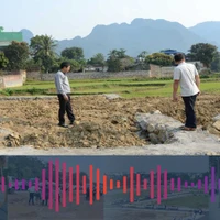 Mua phải đất dính quy hoạch và tranh chấp, người dân cần làm gì? 