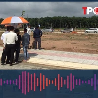 Điều kiện hành nghề tư vấn xác định giá đất mới nhất