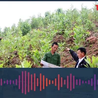 Lý do chỉ có 1 trường hợp hộ gia đình được giao đất ở theo Luật mới?