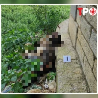 ĐIỂM TIN 8/5: Phát hiện thi thể đã khô ở cầu Long Biên; Nam diễn viên truyền hình lừa đảo tiền tỷ