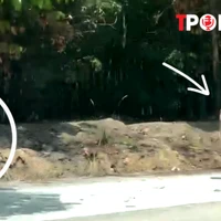 ĐIỂM TIN 20/8: Công an nói gì về thông tin cô gái khỏa thân chụp ảnh trên đường ở Bình Dương?