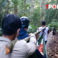 ĐIỂM TIN 3/7: Cây rừng đổ, nữ du khách tử vong khi tham quan thác K50