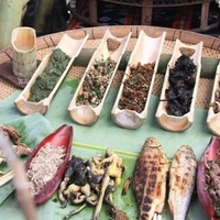 NHÌN THẲNG 21/3: Bệnh từ miệng mà vào