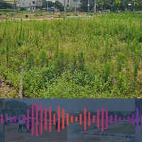 Mua đất dự án chưa có sổ đỏ tiềm ẩn những rủi ro gì?