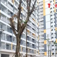 Đề xuất không thu quá 95% giá nhà ở xã hội trước khi cấp sổ đỏ