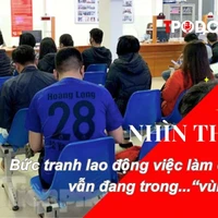 NHÌN THẲNG: Bức tranh lao động việc làm cả nước vẫn đang trong... “vùng xám”