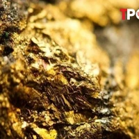 NÓNG 31/3: Phát hiện 40 mỏ vàng ở Tây Bắc, trữ lượng gần 30 tấn vàng
