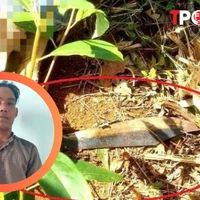 NÓNG 6/5: Lời khai lạnh người của đối tượng sát hại cô giáo trên đường đến trường