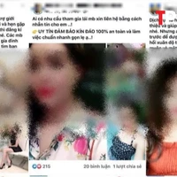 HÌNH SỰ: Lập nhóm 'tuyển phi công phục vụ quý bà' để lừa đảo 