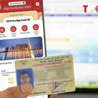 NÓNG 27/2: Nộp hồ sơ cấp đổi bằng lái xe ở xã, phường từ 1/3, nhận sau 5 ngày