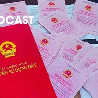 Sử dụng sổ đỏ giả để mua bán nhà đất, có thể bị phạt tù chung thân