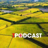 Đất 50 năm, người dân có được xây nhà, cấp sổ đỏ hay không?