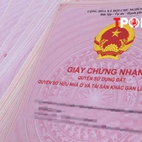 Chỉnh lý hồ sơ địa chính, đất đai khi sáp nhập, sắp xếp đơn vị hành chính thế nào?