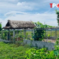 Các khoản phí phải nộp khi chuyển đổi đất vườn lên đất thổ cư năm 2025 người dân cần biết 