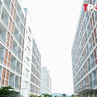 Quỹ nhà ở quốc gia sẽ dùng để làm nhà xã hội cho thuê?