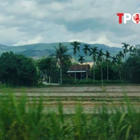 Đất 50 năm hết hạn sử dụng có bị thu hồi ?