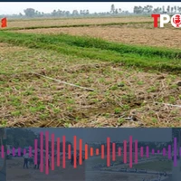 Luật mới có cho phép người hưởng lương thường xuyên được mua đất ruộng?