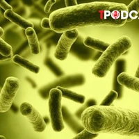 NÓNG 24/3: Liệt tứ chi nguy kịch sau khi ăn pate đóng hộp