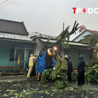 ĐIỂM TIN 27/10: Nhiều lãnh đạo, nhân viên Sở NN&PTNT Thanh Hóa bị ghép ảnh, đe dọa