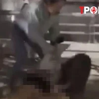 NÓNG 3/1: Luật sư nói về vụ đánh ghen, lột đồ nữ nhân viên ngân hàng ở Cần Thơ