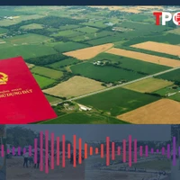 Những lưu ý quan trọng khi làm thủ tục cấp sổ đỏ lần đầu từ tháng 8/2024