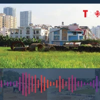 Cách chuyển đất nông nghiệp lên đất ở được nhiều diện tích nhất