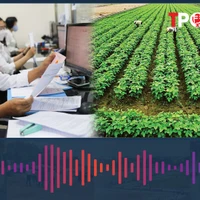 Vì sao cán bộ, công chức không được cấp đất nông nghiệp?