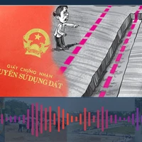 Tranh chấp đất đai giữa anh em ruột giải phải quyết thế nào?