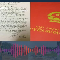 Trường hợp nào mua bán đất bằng giấy viết tay có hiệu lực?