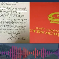 TPHCM triển khai việc cấp sổ đỏ nhà đất mua bán qua giấy viết tay như thế nào?