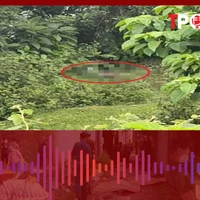 HÌNH SỰ: Phát hiện thi thể người đàn ông trong lùm cây dưới chân cầu