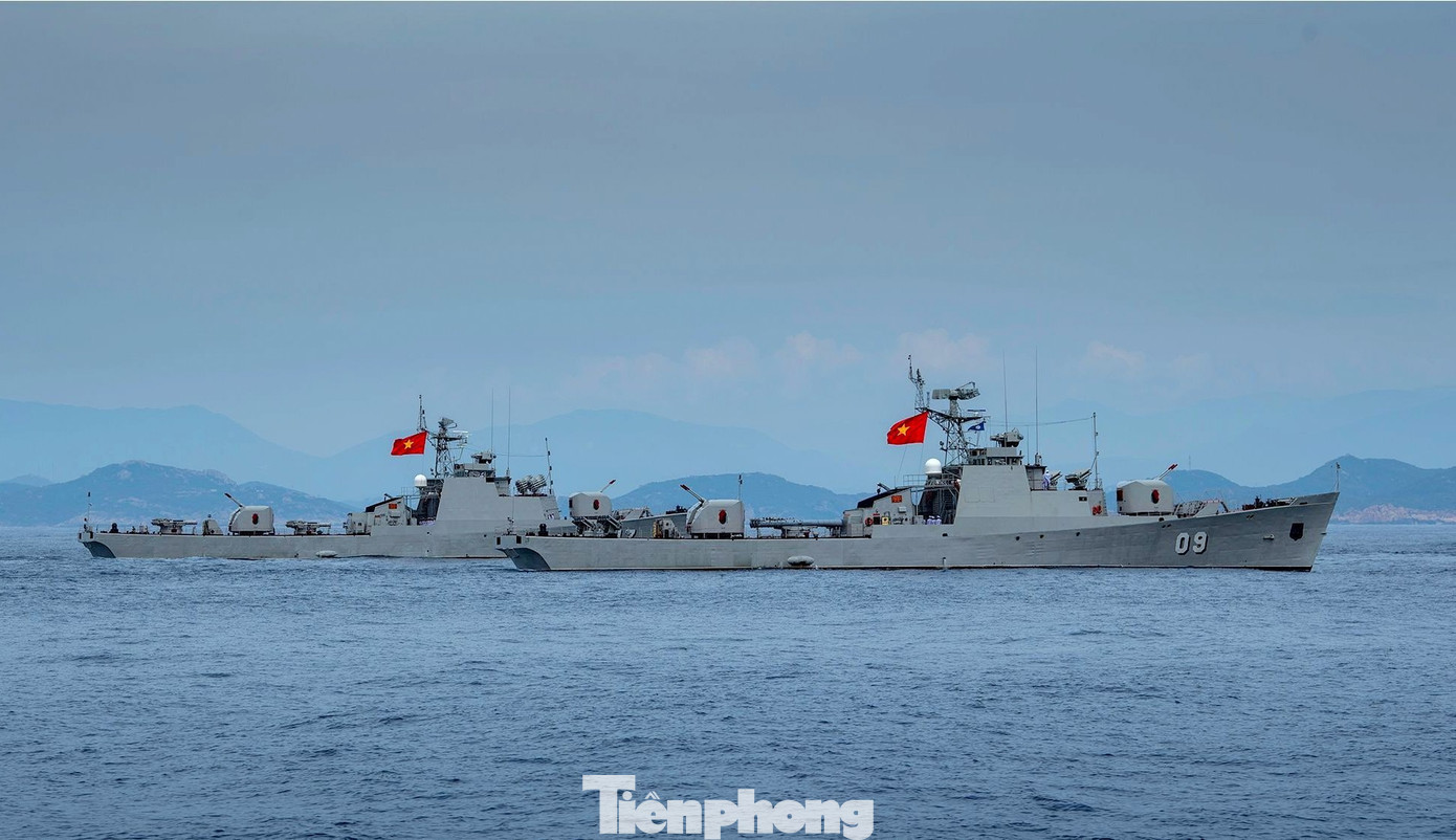 tp-a80.jpg