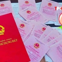 Sổ đỏ điện tử thay bản giấy khi làm thủ tục hành chính ra sao?