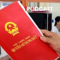 Một số trường hợp vi phạm đất đai vẫn được xem xét cấp sổ đỏ từ năm 2026