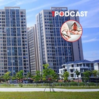 Hộ gia đình, cá nhân cho thuê nhà phải nộp những loại thuế nào?