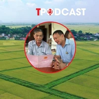 Đất sau 'dồn điền đổi thửa' sẽ được cấp sổ đỏ như thế nào?