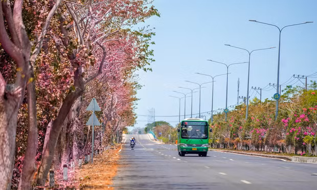 Đề xuất rót hơn 19.000 tỷ mở rộng đường xuyên Rừng Sác