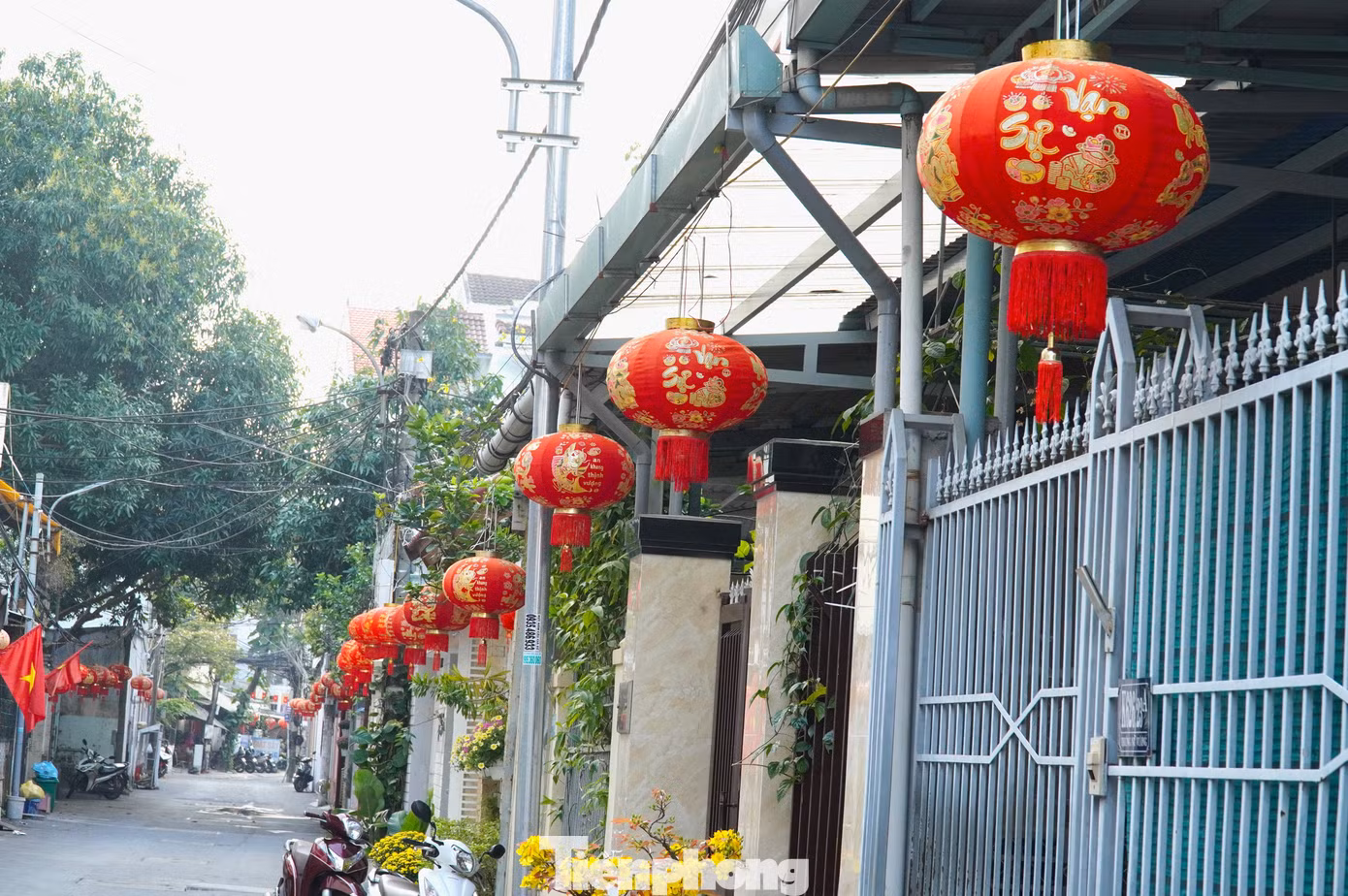 tp-duong-pho-dn-15.jpg
