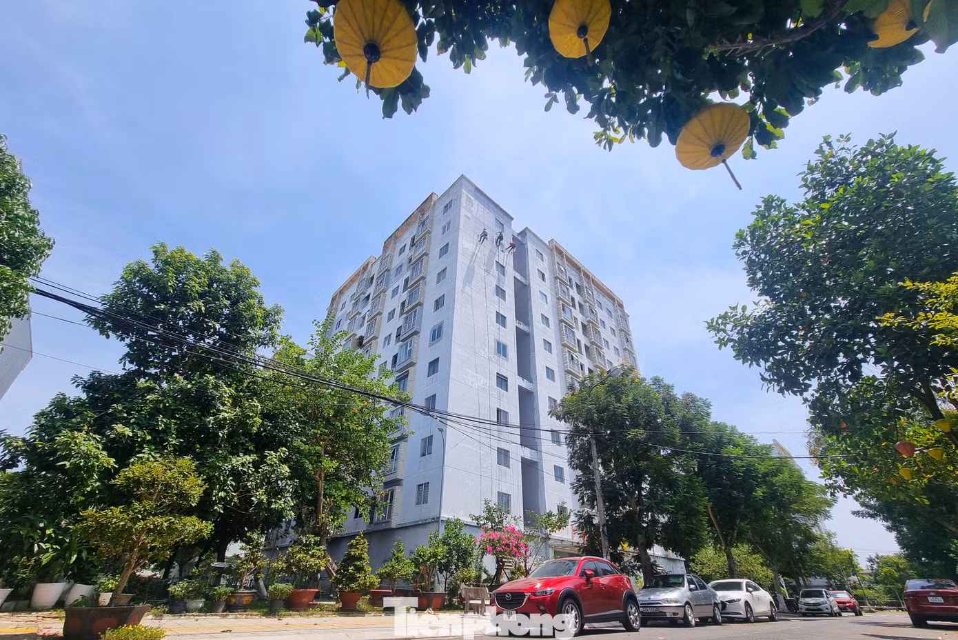 tp-danang-nguoi-nhen-3.jpg