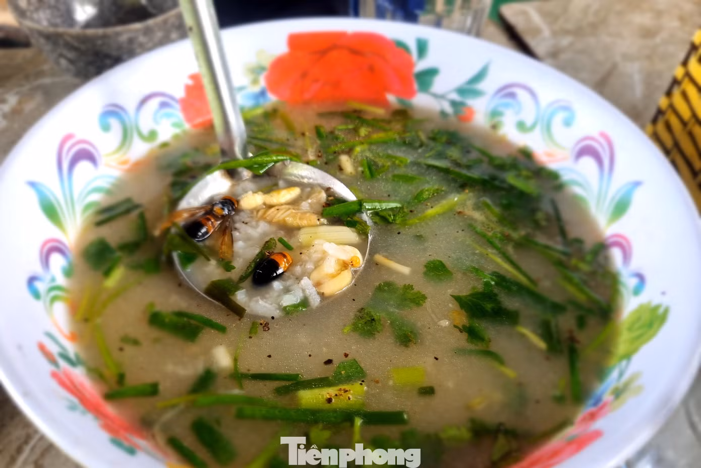 tp-nhong-17.jpg