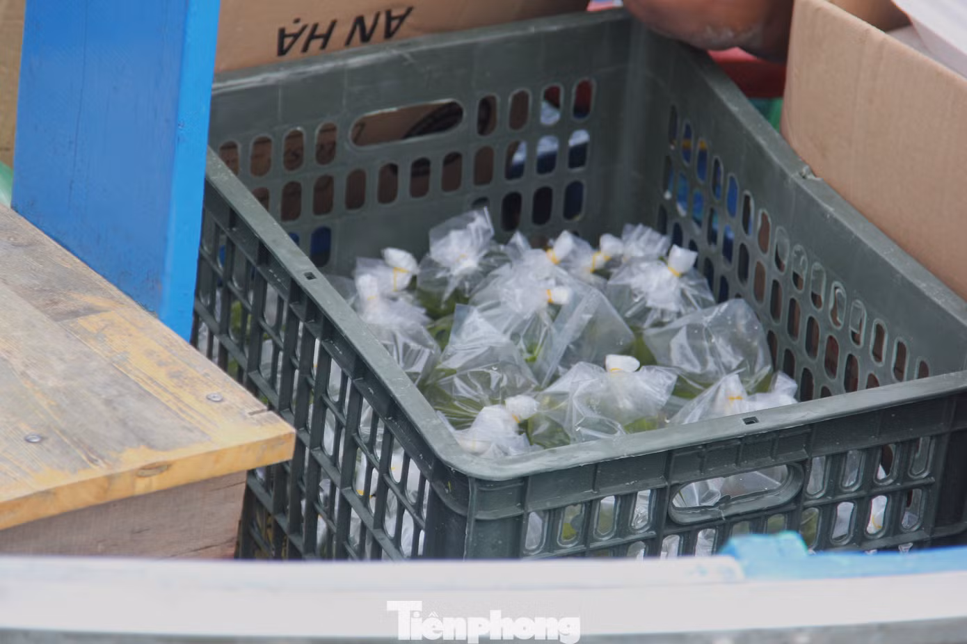 tp-com-tu-thien-10.jpg