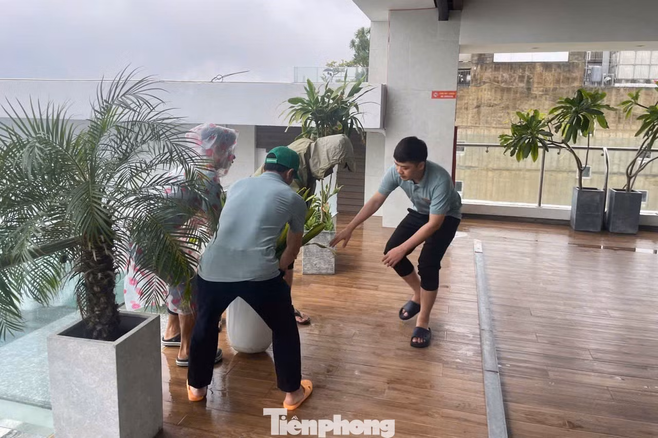 tp-ks-da-nang-bao-1.jpg