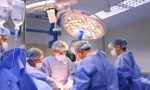 Ca lấy, ghép tạng ở Uông Bí đặc biệt trong ngành ghép tạng nhiều kỷ lục