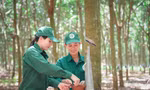 Tập đoàn Công nghiệp Cao su Việt Nam vững vàng bước vào kỷ nguyên mới