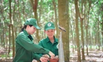 Tập đoàn Công nghiệp Cao su Việt Nam vững vàng bước vào kỷ nguyên mới