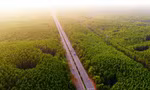Vinhomes Green Paradise Cần Giờ thành đường đua cực đỉnh của 5.000 runner, mở ra tiềm năng đón 40 triệu du khách mỗi năm