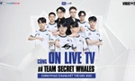 ON Live TV hợp tác chiến lược cùng Team Secret Whales, đại diện Việt Nam chinh phục Worlds 2025 