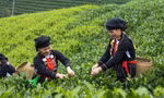 Du lịch Thái Nguyên trước cơ hội nâng tầm